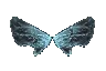 [Elite] Wings of Fairy (1st)