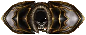 Gold Eagle Armor (M) +15
